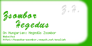 zsombor hegedus business card